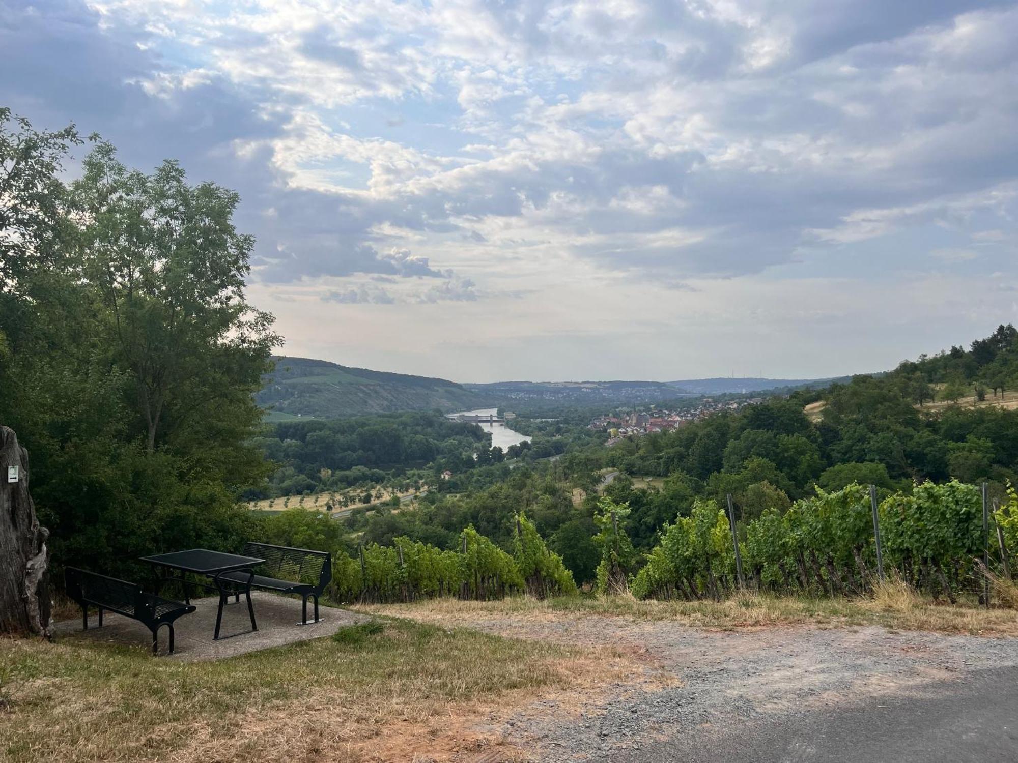 Ferienhaus Weinbergblick - Nahe Wuerzburg - 2 Schlafzimmer - Familienfreundlich - Terrasse Unterleinach Exteriér fotografie